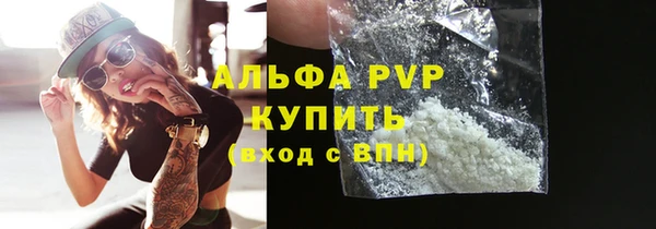 шишки Покачи