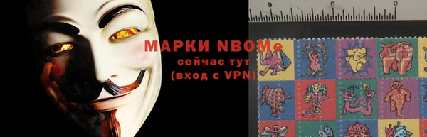 шишки Покачи