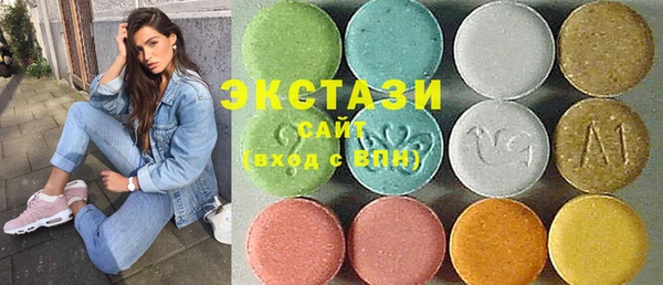ECSTASY Богородицк