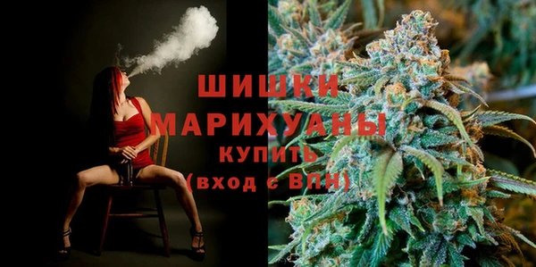 шишки Покачи
