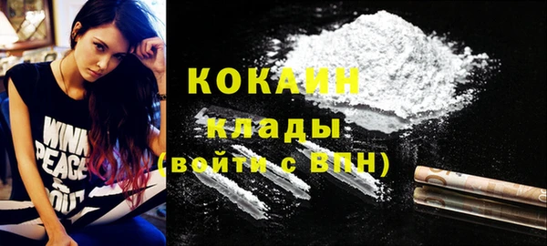 шишки Покачи