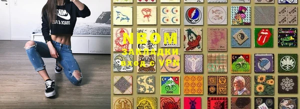 шишки Покачи