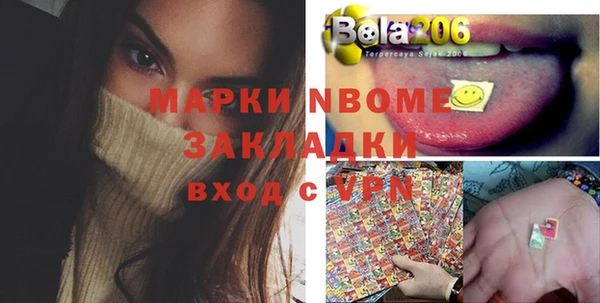 шишки Покачи