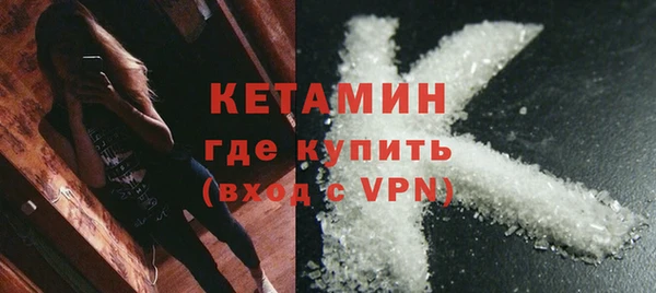 шишки Покачи