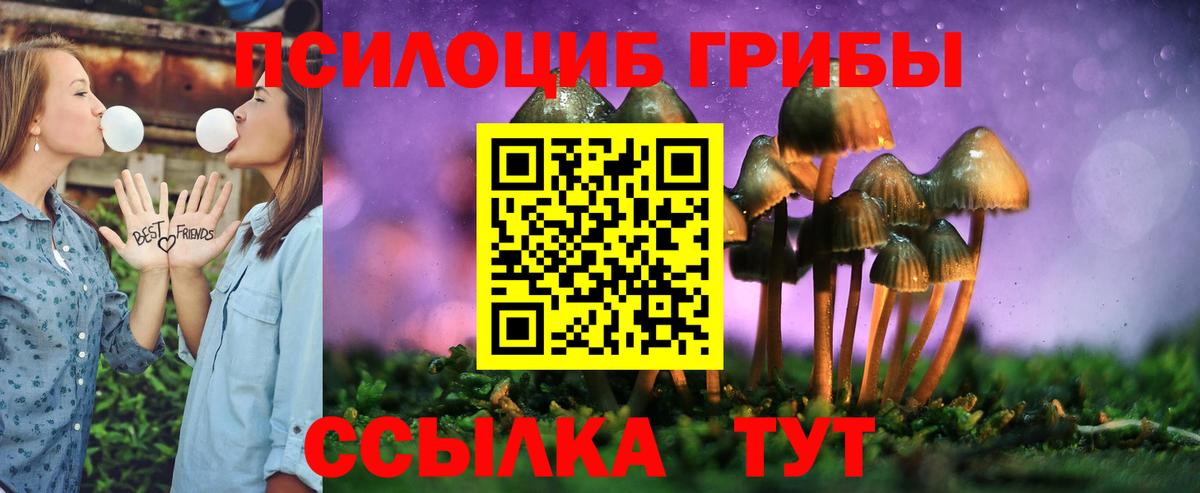 купить закладку  Псилоцибиновые грибы Magic Shrooms  Вход с VPN  Родники 